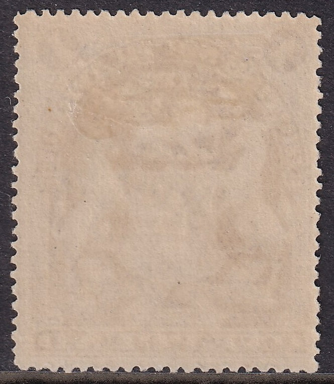 British South Africa 1901 £1 Fresh Mint Specimen Applied Locally