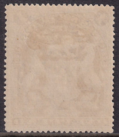 British South Africa 1901 £1 Fresh Mint Specimen Applied Locally