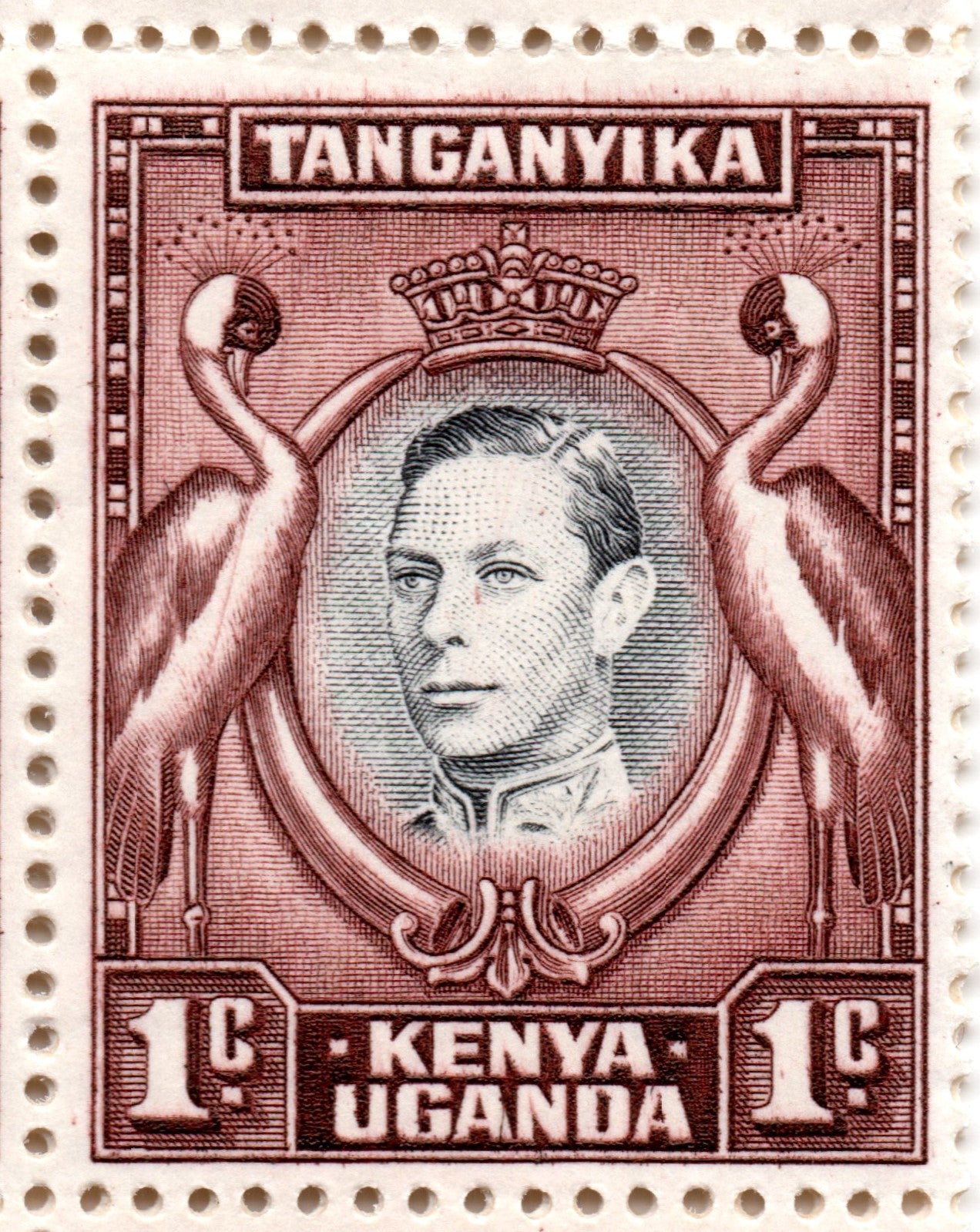 Kenya Uganda 1938 to 1951 1c Unmounted Mint Complete Sheet Plate 4A with Varieties