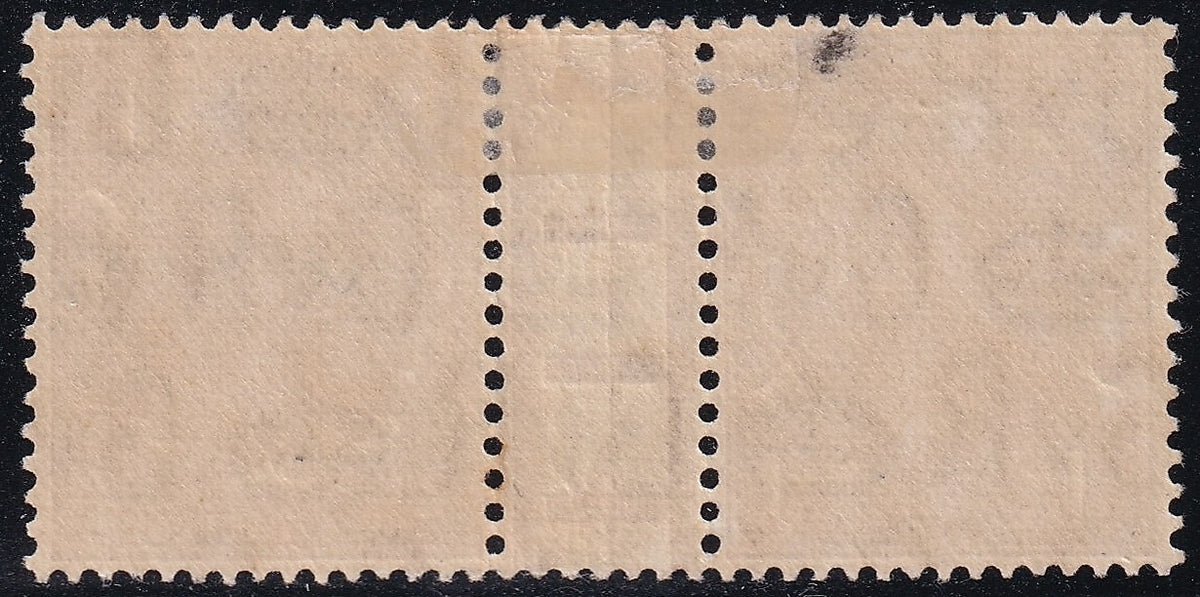 Reverse of the Great Britain 1924 1½d red-brown tête-bêche pair, showing the backs of both stamps and the central gutter.