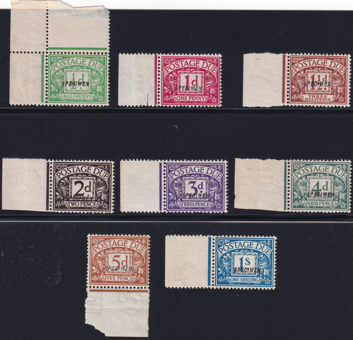 Eight Great Britain postage due stamps, ½d to 1s, each with a Specimen overprint and attached sheet margin.